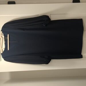 Ann Taylor Midnight Blue V-Neck Dress with Sheer Sleeves